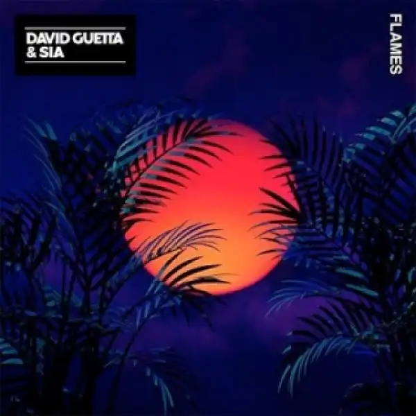Instrumental: David Guetta - Flames ft. Sia (Produced By Marcus van Wattum, Giorgio Tuinfort & David Guetta)